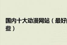 国内十大动漫网站（最好的动漫网站排名知名动漫网站有哪些）