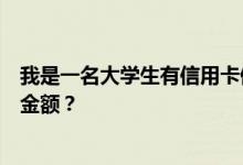 我是一名大学生有信用卡但是信用额度为零怎么做才能增加金额？