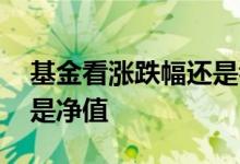 基金看涨跌幅还是看净值 指数基金看涨跌还是净值