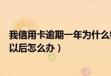 我信用卡逾期一年为什么银行没催我（天津银行信用卡逾期以后怎么办）