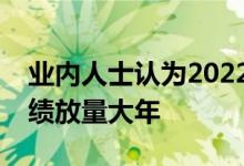 业内人士认为2022年稀土磁材企业或迎来业绩放量大年