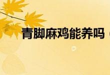 青脚麻鸡能养吗（青脚麻鸡能长多大）