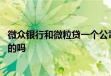 微众银行和微粒贷一个公司吗 微粒贷和微业贷都是微众银行的吗
