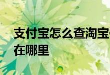 支付宝怎么查淘宝保证金 支付宝保证金账户在哪里