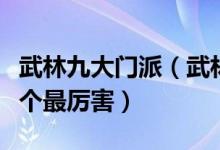 武林九大门派（武林门派排名武林九大门派哪个最厉害）