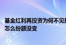 基金红利再投资为何不见持有份额增加 基金选择了红利再投怎么份额没变