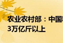 农业农村部：中国粮食产量连续7年稳定在1.3万亿斤以上
