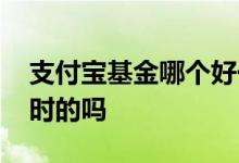 支付宝基金哪个好一点 支付宝买入基金是实时的吗