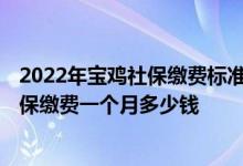 2022年宝鸡社保缴费标准基数及比例一览表 2022年宝鸡社保缴费一个月多少钱 