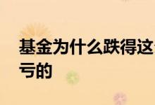 基金为什么跌得这么厉害 为什么玩基金都是亏的