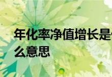 年化率净值增长是什么意思 年化净值增长什么意思