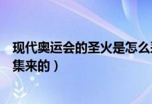 现代奥运会的圣火是怎么采的（现代奥运会的圣火是怎么采集来的）