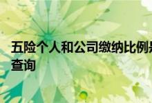 五险个人和公司缴纳比例是多少 五险缴纳完之后应该去哪里查询 