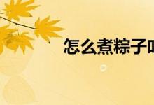 怎么煮粽子叶（怎么煮粽子）