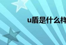 u盾是什么样子的 u盾是什么