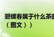 碧螺春属于什么茶的特点（碧螺春属于什么茶（图文））