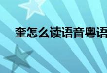 奎怎么读语音粤语（奎怎么读（图文））