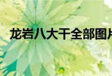 龙岩八大干全部图片（龙岩八大干是哪些）