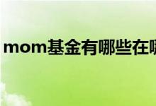 mom基金有哪些在哪购买 MOM基金是什么