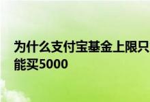 为什么支付宝基金上限只能买1w 为什么支付宝基金一次只能买5000