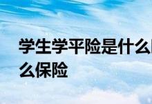 学生学平险是什么时候买的 学生学平险是什么保险