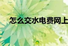 怎么交水电费网上缴费（怎么交水电费）