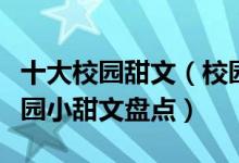 十大校园甜文（校园甜宠小说推荐超甜高糖校园小甜文盘点）