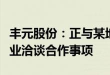 丰元股份：正与某地方政府及公司主营相关企业洽谈合作事项