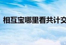 相互宝哪里看共计交了多少钱 相互宝要钱不