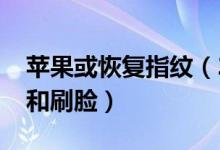 苹果或恢复指纹（2021年有望同时支持指纹和刷脸）