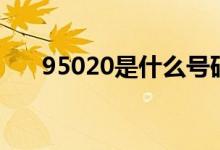 95020是什么号码（95030什么号码）