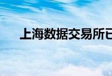 上海数据交易所已挂牌超百个数据产品