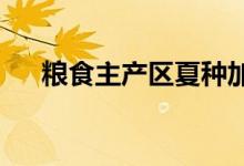 粮食主产区夏种加快推进进度已过八成