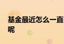 基金最近怎么一直在跌 买基金为什么要它跌呢