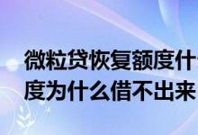 微粒贷恢复额度什么时候可以借 微粒贷有额度为什么借不出来