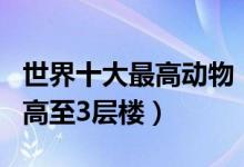 世界十大最高动物（全球动物身高排行第一名高至3层楼）