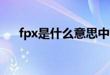 fpx是什么意思中文（FPX是什么意思）