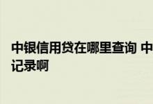 中银信用贷在哪里查询 中银新易贷信用卡哪里可以查消费的记录啊