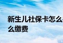 新生儿社保卡怎么办理流程 新生儿社保卡怎么缴费 
