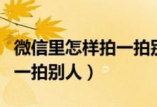 微信里怎样拍一拍别人的肩膀（微信里怎样拍一拍别人）