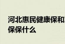 河北惠民健康保和冀惠保对比 河北惠民健康保保什么