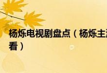 杨烁电视剧盘点（杨烁主演的电视剧有哪些杨烁哪部剧最好看）