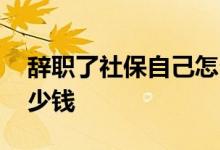 辞职了社保自己怎么交 自己交社保一个月多少钱 