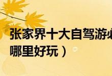张家界十大自驾游必去景点（张家界自驾游去哪里好玩）