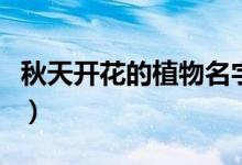 秋天开花的植物名字（秋天开花的植物有哪些）