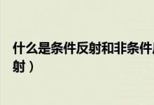 什么是条件反射和非条件反射（什么是条件反射和非条件反射）