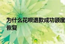 为什么花呗退款成功额度没有恢复 花呗退款成功 额度没有恢复