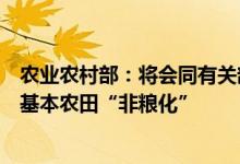 农业农村部：将会同有关部门强化措施、加大力度防止永久基本农田“非粮化”