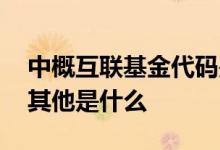 中概互联基金代码是多少 中概互联基金中的其他是什么