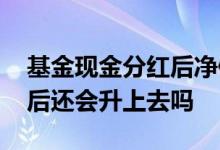 基金现金分红后净值下降 基金分红净值下降后还会升上去吗